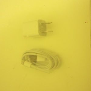 iPhone charger